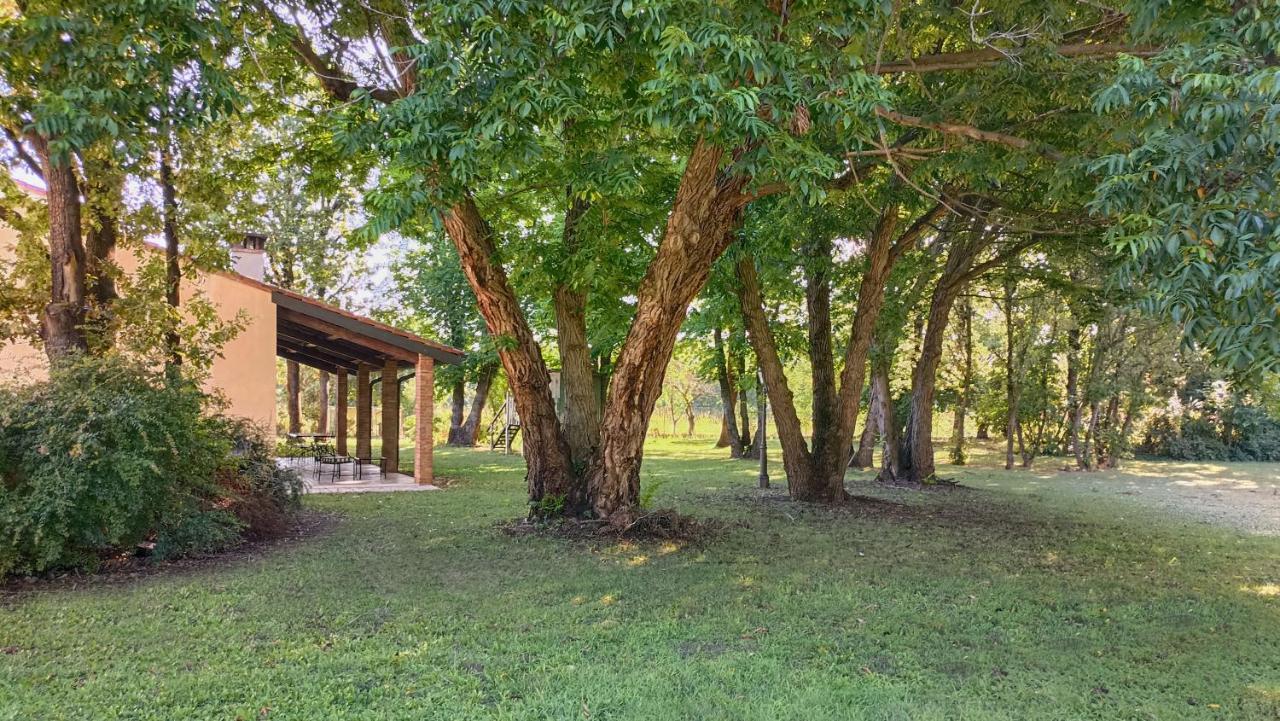 La Casetta Nel Bosco Holiday home Mantova